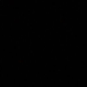 Meet your Posher, Delfina